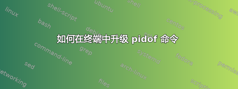 如何在终端中升级 pidof 命令