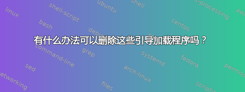 有什么办法可以删除这些引导加载程序吗？