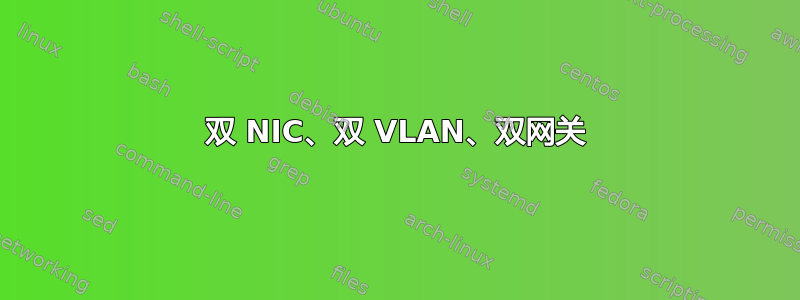 双 NIC、双 VLAN、双网关