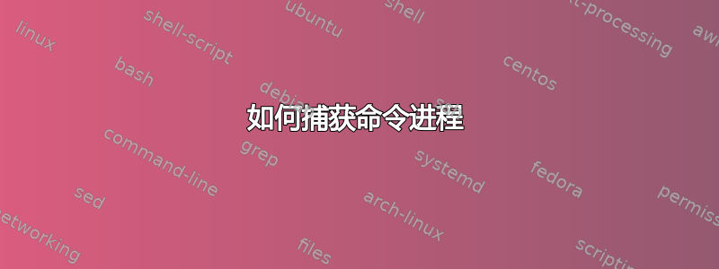 如何捕获命令进程