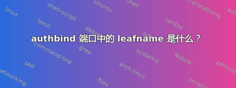 authbind 端口中的 leafname 是什么？