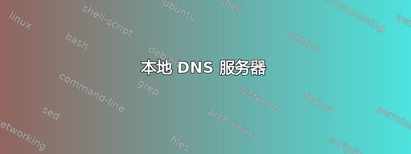 本地 DNS 服务器