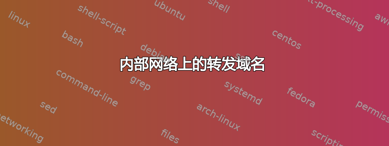 内部网络上的转发域名