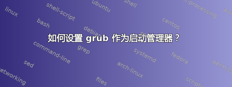 如何设置 grub 作为启动管理器？