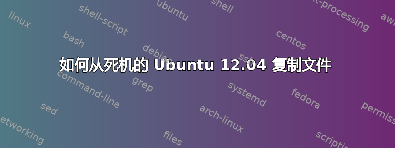 如何从死机的 Ubuntu 12.04 复制文件