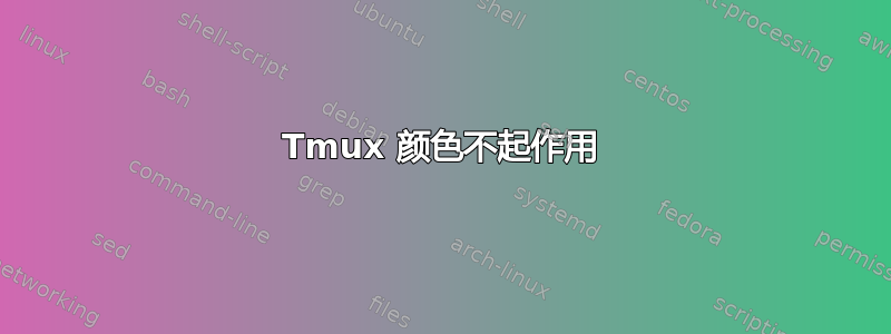 Tmux 颜色不起作用