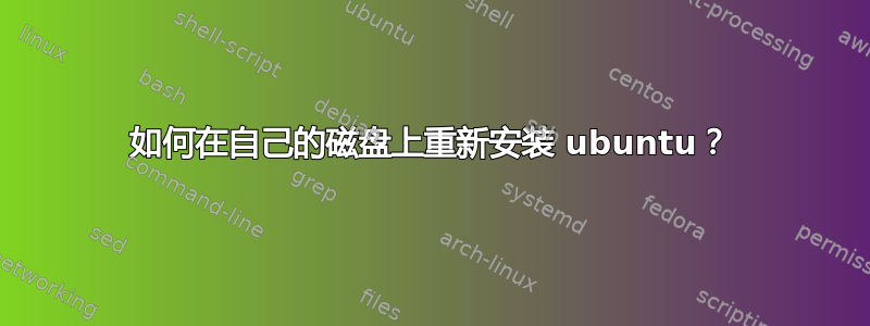 如何在自己的磁盘上重新安装 ubuntu？