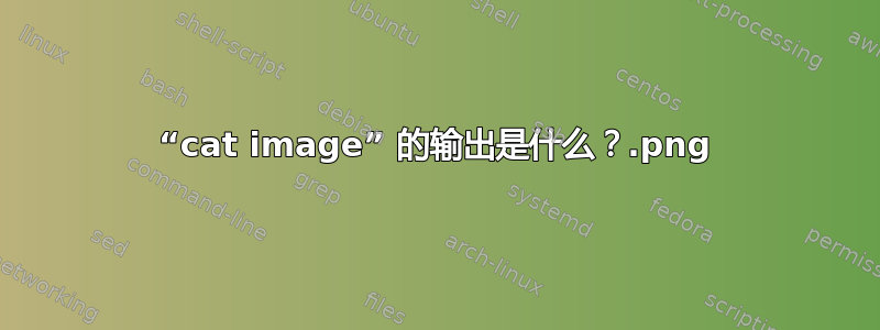 “cat image.png” 的输出是什么？