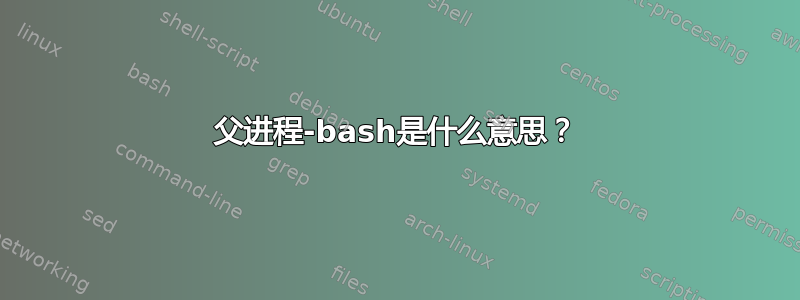 父进程-bash是什么意思？