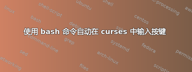 使用 bash 命令自动在 curses 中输入按键