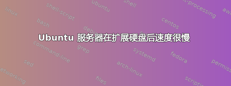 Ubuntu 服务器在扩展硬盘后速度很慢