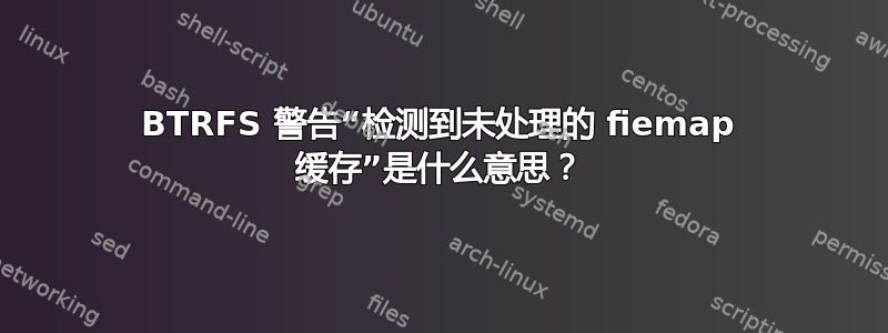 BTRFS 警告“检测到未处理的 fiemap 缓存”是什么意思？