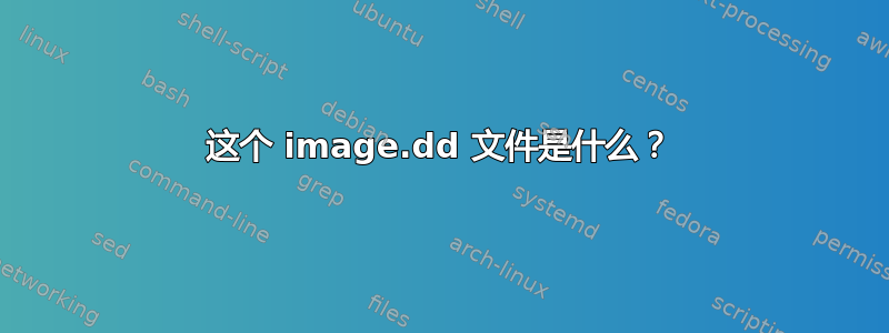 这个 image.dd 文件是什么？