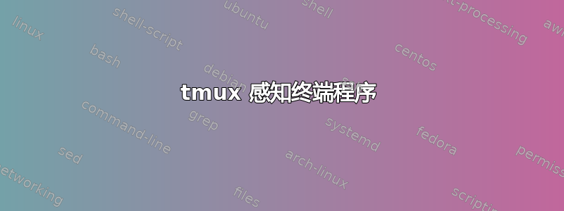 tmux 感知终端程序