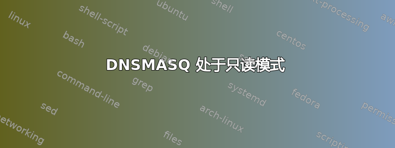 DNSMASQ 处于只读模式