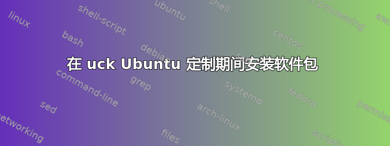 在 uck Ubuntu 定制期间安装软件包