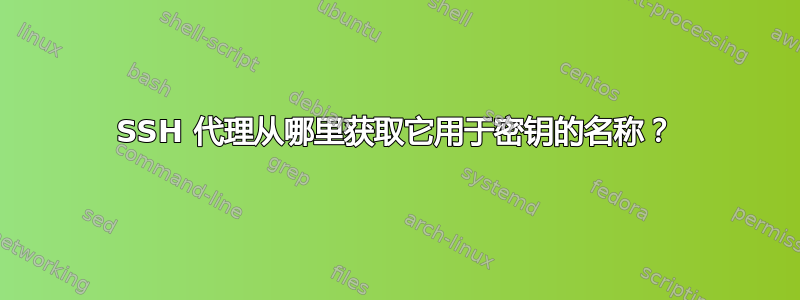 SSH 代理从哪里获取它用于密钥的名称？