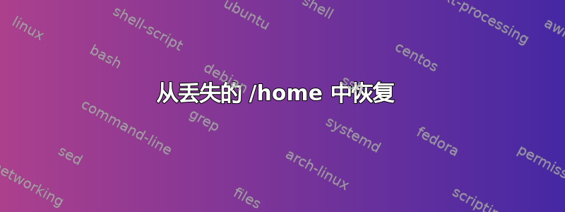 从丢失的 /home 中恢复 