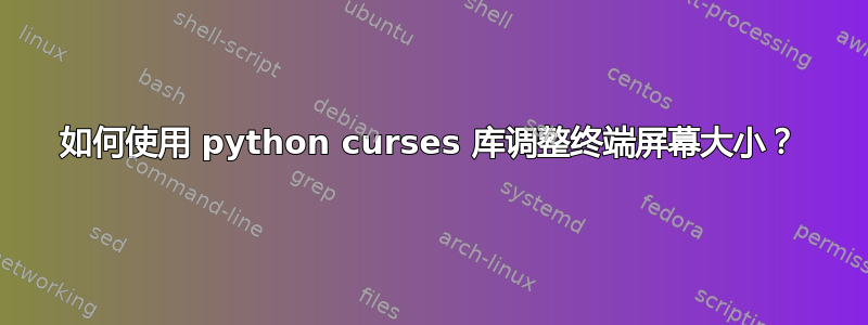 如何使用 python curses 库调整终端屏幕大小？