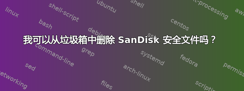 我可以从垃圾箱中删除 SanDisk 安全文件吗？