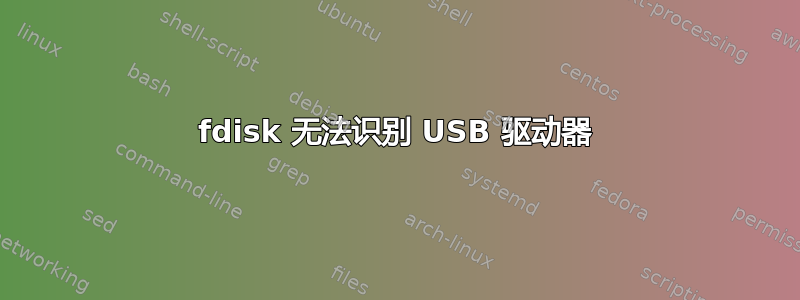 fdisk 无法识别 USB 驱动器