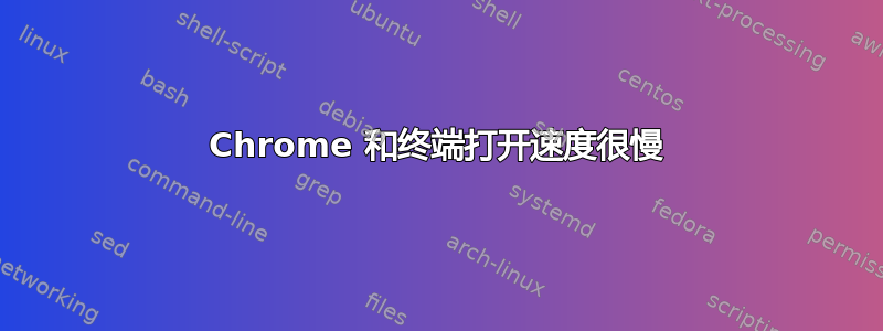 Chrome 和终端打开速度很慢