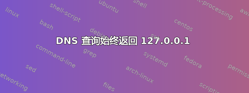 DNS 查询始终返回 127.0.0.1