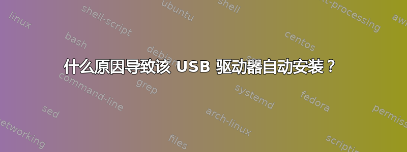 什么原因导致该 USB 驱动器自动安装？