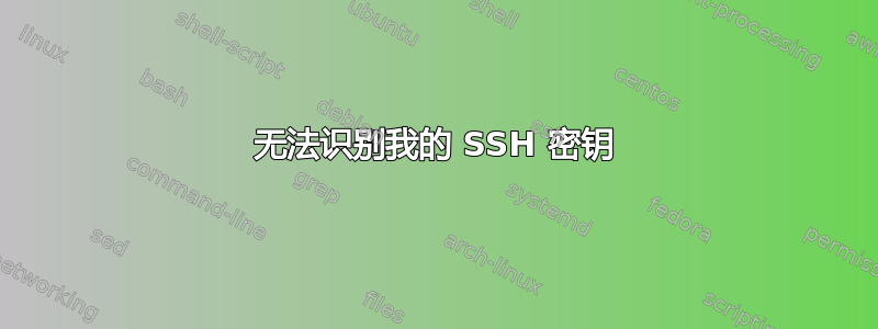 无法识别我的 SSH 密钥