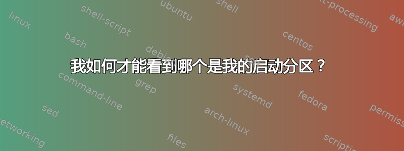 我如何才能看到哪个是我的启动分区？