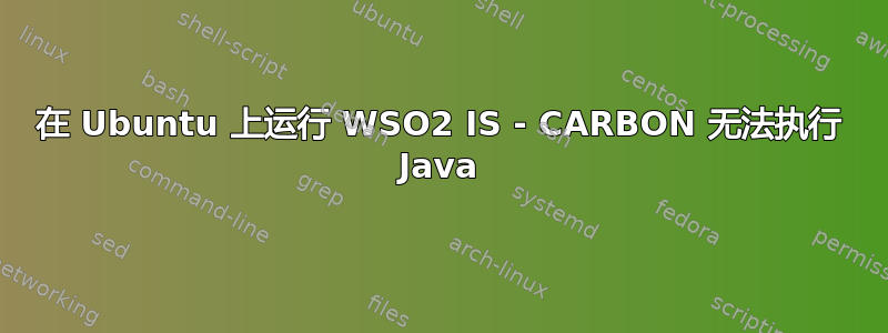 在 Ubuntu 上运行 WSO2 IS - CARBON 无法执行 Java