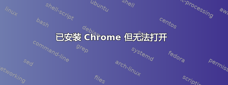 已安装 Chrome 但无法打开 