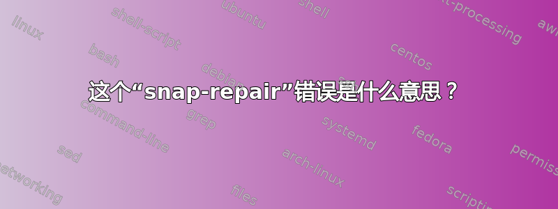 这个“snap-repair”错误是什么意思？