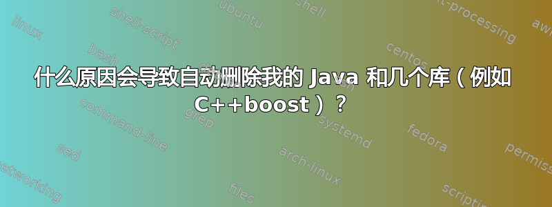 什么原因会导致自动删除我的 Java 和几个库（例如 C++boost）？