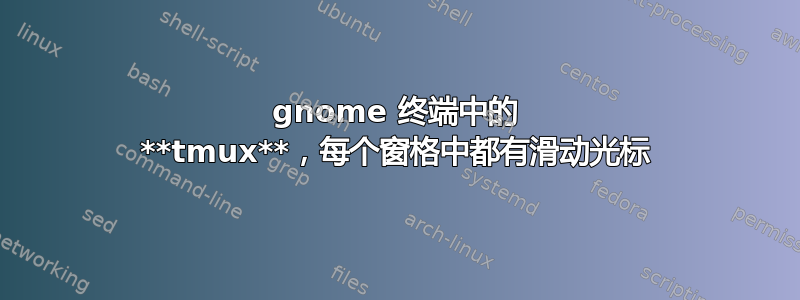 gnome 终端中的 **tmux**，每个窗格中都有滑动光标