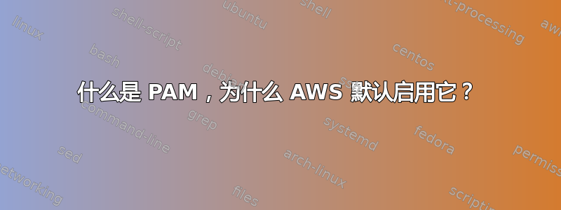 什么是 PAM，为什么 AWS 默认启用它？