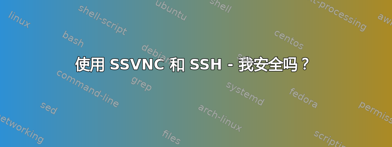 使用 SSVNC 和 SSH - 我安全吗？