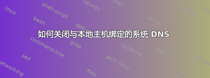 如何关闭与本地主机绑定的系统 DNS