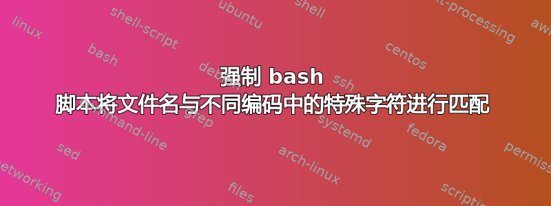 强制 bash 脚本将文件名与不同编码中的特殊字符进行匹配