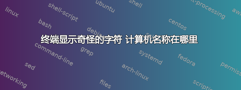 终端显示奇怪的字符 计算机名称在哪里