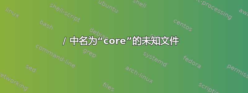 / 中名为“core”的未知文件 