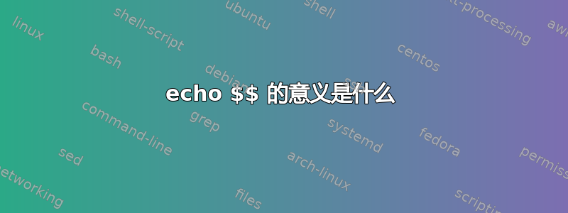 echo $$ 的意义是什么