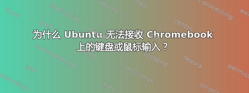 为什么 Ubuntu 无法接收 Chromebook 上的键盘或鼠标输入？