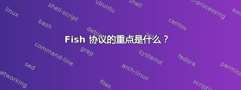 Fish 协议的重点是什么？ 