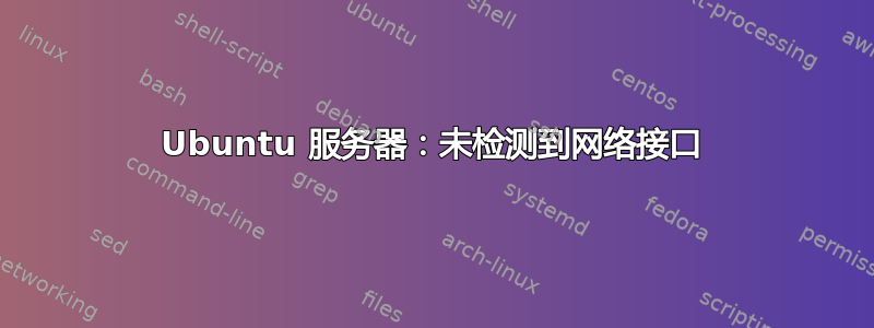 Ubuntu 服务器：未检测到网络接口