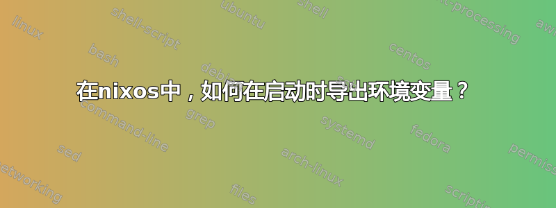 在nixos中，如何在启动时导出环境变量？