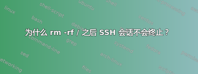 为什么 rm -rf / 之后 SSH 会话不会终止？