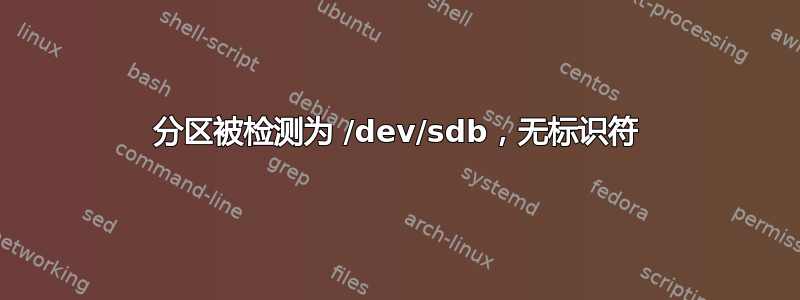 分区被检测为 /dev/sdb，无标识符