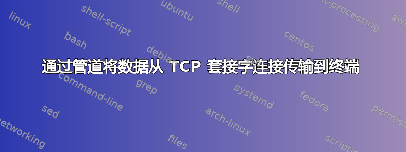 通过管道将数据从 TCP 套接字连接传输到终端