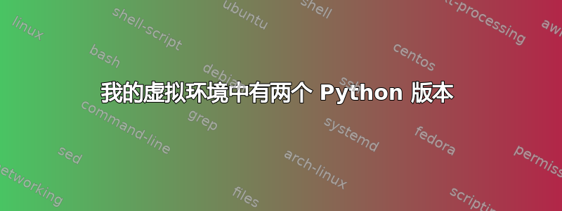 我的虚拟环境中有两个 Python 版本